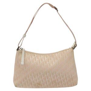Christian Dior Trotter Canvas Bag